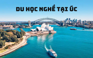 HƯỚNG DẪN CHI TIẾT ĐIỀN TỜ KHAI NHẬP CẢNH CHO CÁC BẠN ĐI DU HỌC ÚC