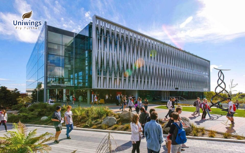 Có nên du học định cư New Zealand không