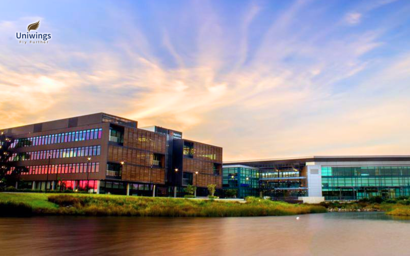 Lý do bạn nên chọn Đại học Wollongong