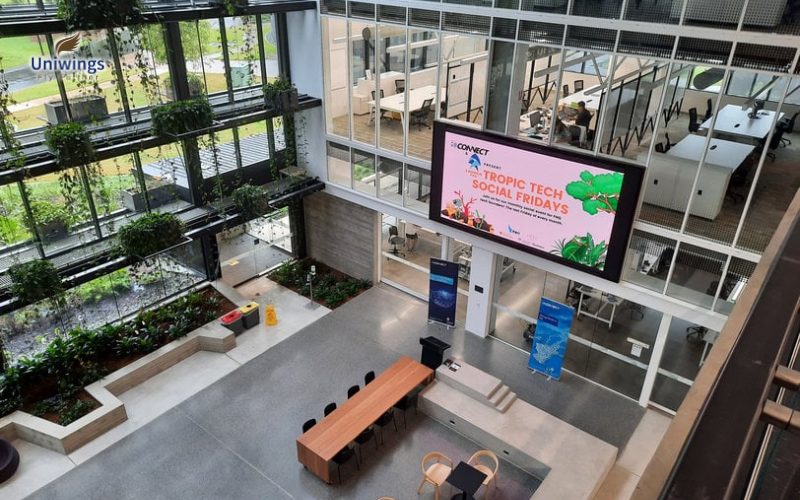 Chương trình học nổi bật của James Cook University Australia